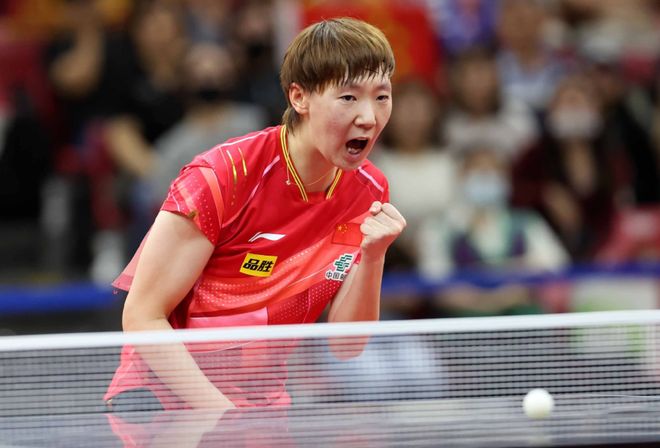 我像鸟一样 我像鸟一样