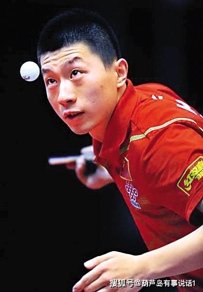 担合理风险 担合理风险